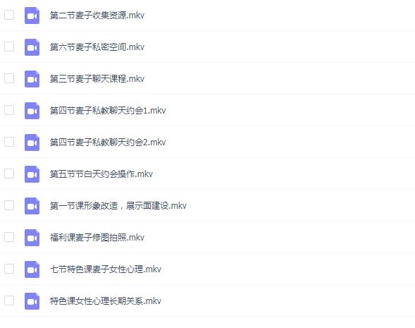 麦子《私教课》百度网盘下载插图