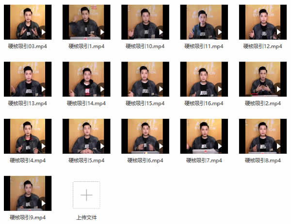 偷先生私教《硬核吸引》视频课程插图 偷先生私教《硬核吸引》视频课程插图