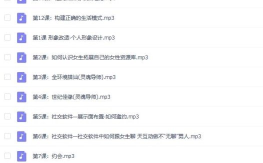 Amigo团队《恋商训练营》百度网盘下载
