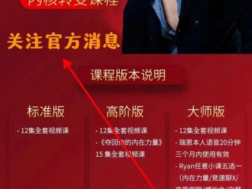 《引燃雄心 》瑞恩课程搭讪大师全集